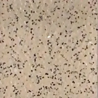 Beige Plain